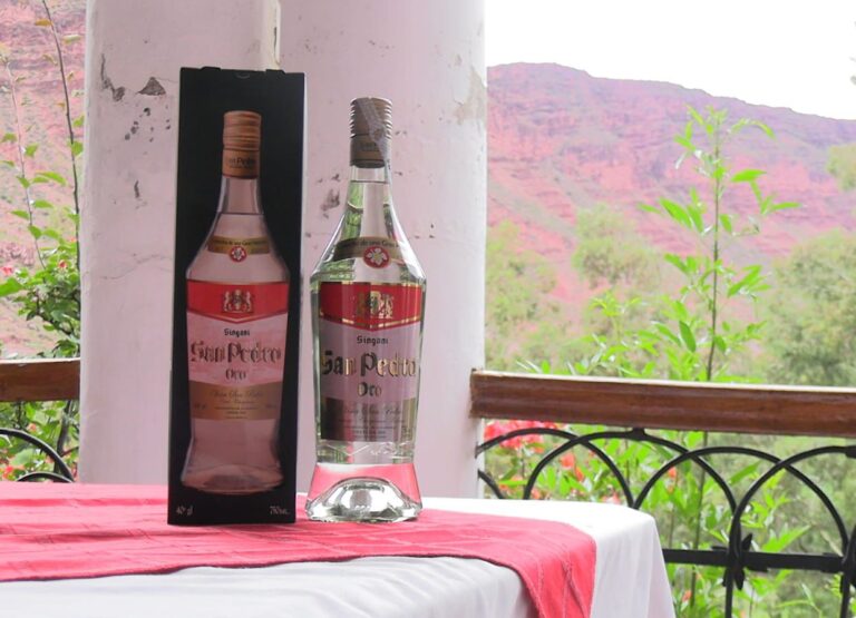 ENVIBOL PROVEERÁ 100 MIL BOTELLAS CON EL SELLO “HECHO EN BOLIVIA” A SINGANI “SAN PEDRO”