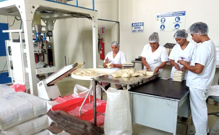 Empresa Estratégica de Producción de Semillas a julio de esta gestión incrementó sus ingresos a Bs 12.2 millones por la venta de semillas de alta calidad con el sello “Hecho en Bolivia”