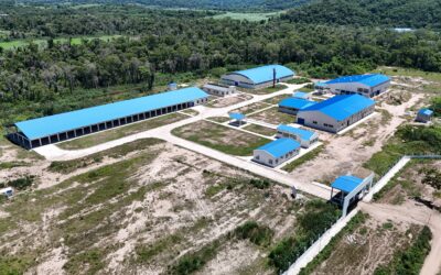 LA EEPAF ANUNCIA ENTREGA DE NUEVAS PLANTAS DE AGROINSUMOS Y SE CONSOLIDA COMO PILAR DE LA SOBERANÍA ALIMENTARIA