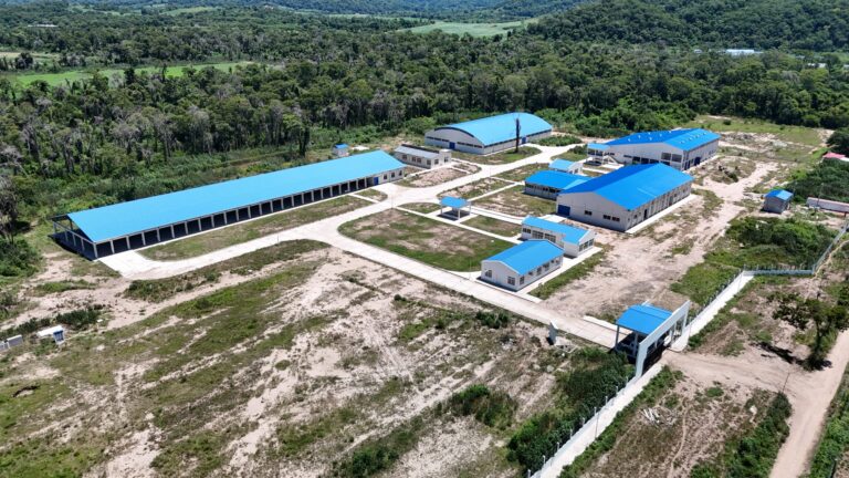 LA EEPAF ANUNCIA ENTREGA DE NUEVAS PLANTAS DE AGROINSUMOS Y SE CONSOLIDA COMO PILAR DE LA SOBERANÍA ALIMENTARIA
