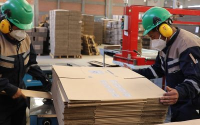 EMPRESAS PÚBLICAS PRODUCTIVAS DEL SEDEM LOGRAN MÁS DE BS 98 MILLONES EN UTILIDADES Y BS 610 MILLONES EN VENTAS EL 2023