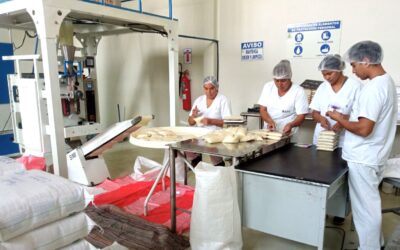 Empresa Estratégica de Producción de Semillas a julio de esta gestión incrementó sus ingresos a Bs 12.2 millones por la venta de semillas de alta calidad con el sello “Hecho en Bolivia”
