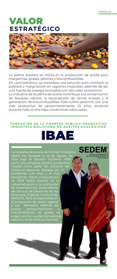 IBAE-3