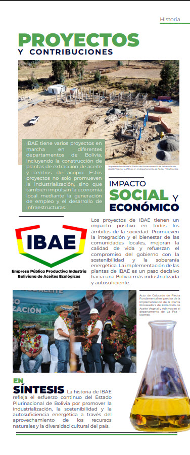 IBAE-4